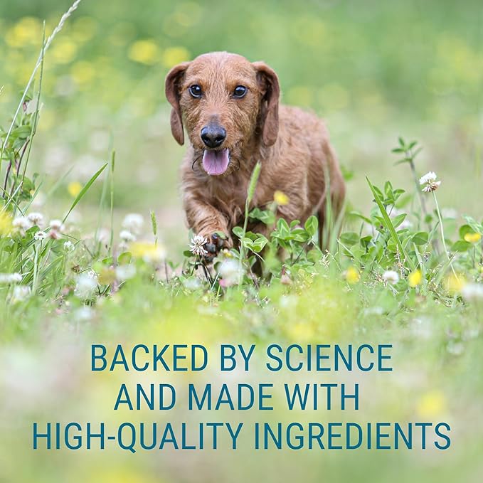 Nutramax Laboratories Denosyl for Dogs, Liver and Brain Health Supplement for Medium Dogs, with S-adenosylmethionine (SAMe), Stabilized Tablets, 30 Count