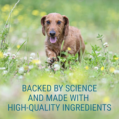 Nutramax Laboratories Denosyl for Dogs, Liver and Brain Health Supplement for Medium Dogs, with S-adenosylmethionine (SAMe), Stabilized Tablets, 30 Count