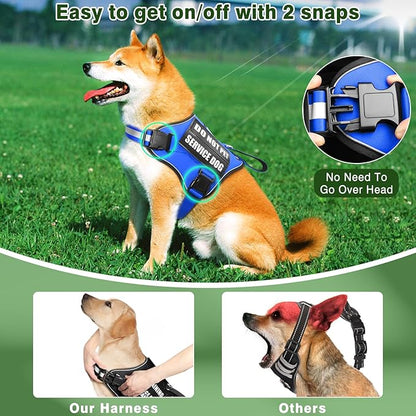 Service Dog Vest Harness and Leash Set+10 Patches,No Pull&Easy Walk Reflective Dog Harness with Soft Padded Handle for Training/Everyday,Fit Small/Medium/Large/Extra-Large Dogs (Blue M)