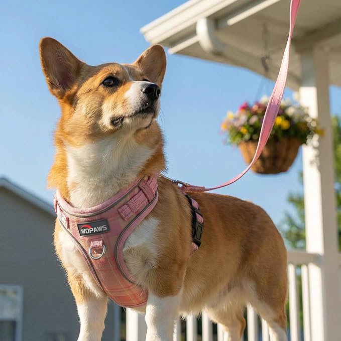 No Pull Dog Harness and Leash Set-Reflective Plaid Design, Adjustable & Comfortable with Front D Ring for Small Medium Dogs (XS, Pink Plaid)