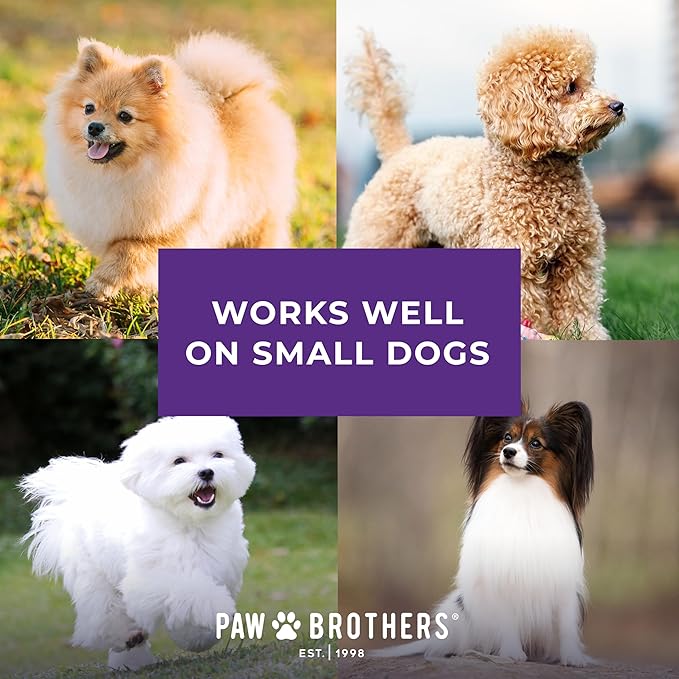 Ryan's Pet Supplies Paw Brothers Mini Pin Tiny Flat Slicker Brush for Dogs, Professional Grade, Stainless Steel Pins, Flexible Head, Comfort Grip, Mini Size, 4.75" x 2.25" x 1.5"