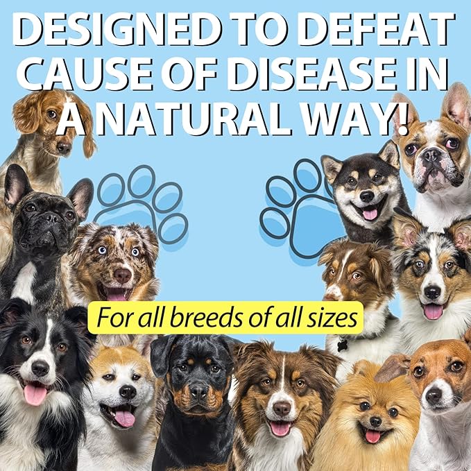 Kennel Cough for Dogs- Kennel Cough Treatment, Natural Cough Supplement for Dogs, Gentle Dog Congestion Relief, Liquid Dog Allergy Relief (2 Fl Oz (Pack of 2))