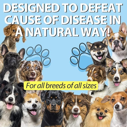 Kennel Cough for Dogs- Kennel Cough Treatment, Natural Cough Supplement for Dogs, Gentle Dog Congestion Relief, Liquid Dog Allergy Relief (2 Fl Oz (Pack of 2))