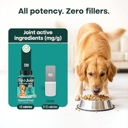 Natureflow Hip & Joint Supplement for Dogs, 300mg Green-Lipped Mussel for Dog Arthritis Pain Relief, Glucosamine, MSM & Chondroitin, Zero Sugar, Large Medium Small Breeds, 200 Chewable Tablets