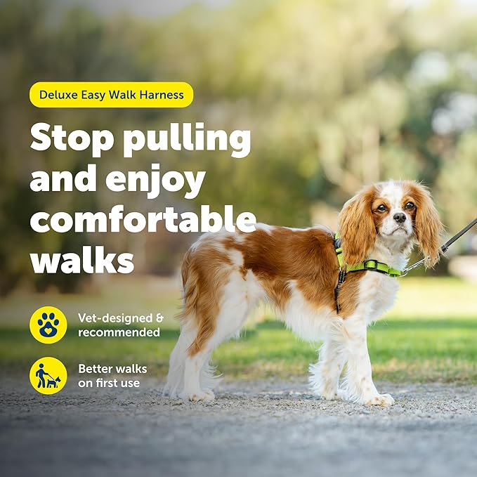PetSafe Deluxe Easy Walk Harness - Trainer-Trusted Dog Chest Harness with Breathable Martingale Loop Design - Helps Stop Pulling with No Choking & Gagging - Small - Apple