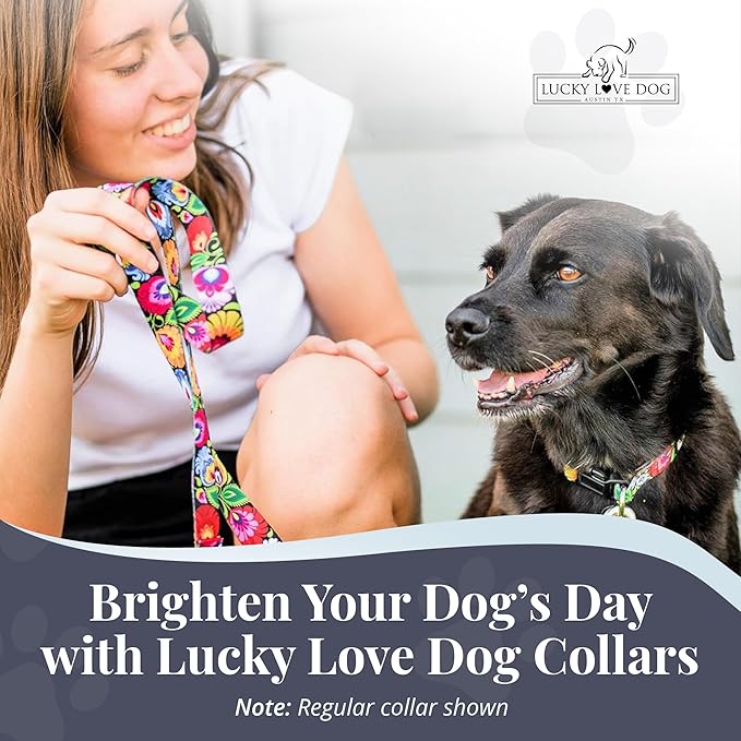 Lucky Love Dog Martingale Dog Collar - Adjustable, No-Slip, Durable, & Soft Webbing Collar for Male and Female Dogs Ideal for Training & Walking - Blackbird, Medium
