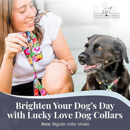 Lucky Love Dog Martingale Dog Collar - Adjustable, No-Slip, Durable, & Soft Webbing Collar for Male and Female Dogs Ideal for Training & Walking - Blackbird, Medium