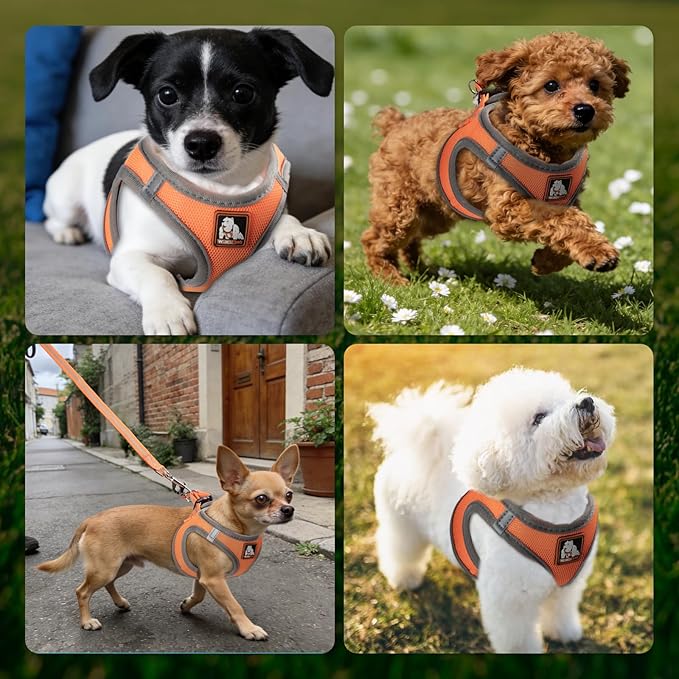 Dog Harness Medium Sized Dogs, Puppy Harness and Leash Set for Training, Running, Walking, Suitable for Small and Medium Dog Vest, Orange, L