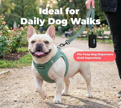 Best Pet Supplies Voyager Reflective Dog Leash or Collar with Neoprene Handle, for Small, Medium, and Large Breed Puppies, Cute and Heavy Duty for Walking, Running and Training - Moss Green (Leash), S