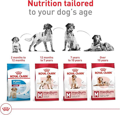 Royal Canin Size Health Nutrition Medium Adult Dry Dog Food, 40 lb Bag