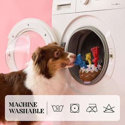 LE SURE Dog Birthday Cake Toy - Cute Dog Birthday Cake Squeaky Toy with Interactive Tug Rope, Interactive Chew Toy for Puppy Birthday Party & Daily Play, XSmall, Milk Chocolate