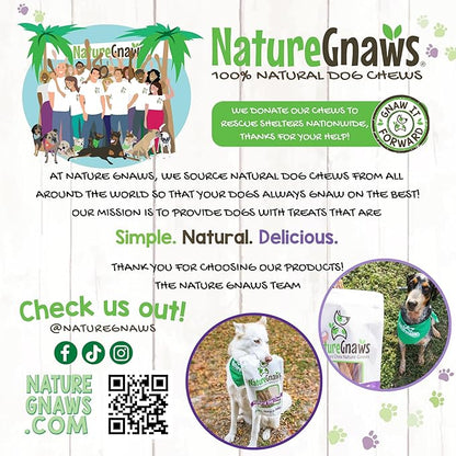 Nature Gnaws Super Skinny Bully Sticks for Small Dogs 5-6" (15 Count) - Long Lasting for Light Chewers and Puppies - Extra Thin Natural Beef Dog Chew Treats