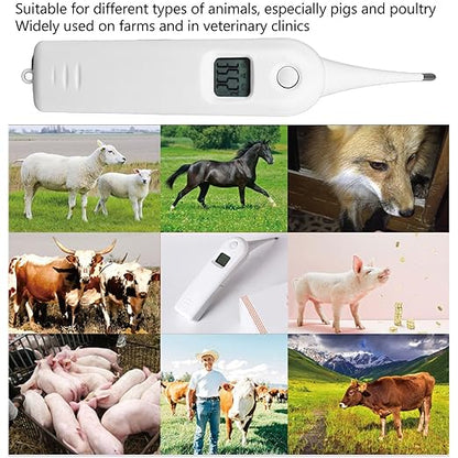 Pet Thermometer Dog Thermometer, Non Digital Pet Thermometer for Dogs Fast Digital Veterinary Thermometer Cat and Dog Ear Temperature Monitor