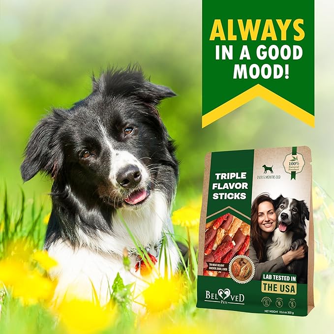 Beloved Pets Dog Treats & Rawhide Bones Wrapped Chicken and Duck 10.6 Oz - Pet Chews Sticks for Large, Medium & Small Breeds - Long Lasting Chewers Snacks – Puppy Treats