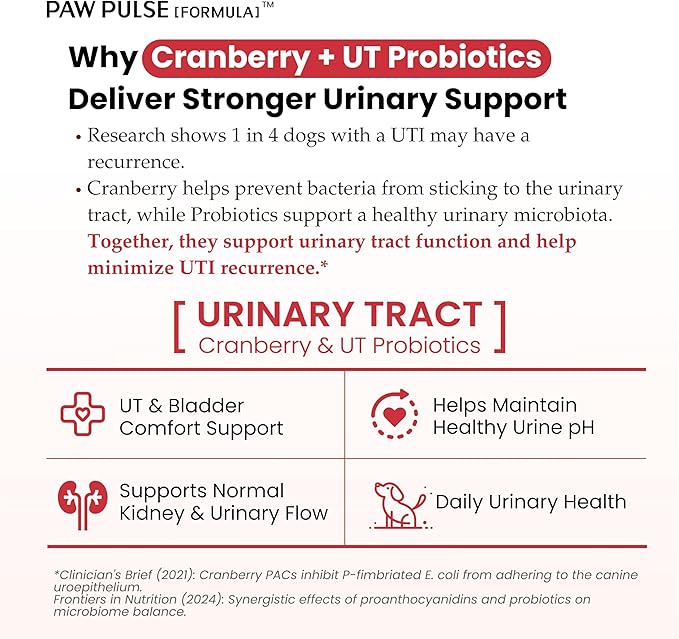 Pawpulse Formula Cranberry for Dogs, Urinary Tract Support for UTI Health, Bladder Stones, Incontinence, Urine Flow, Probiotics for Gut & Immune, 90 Chews