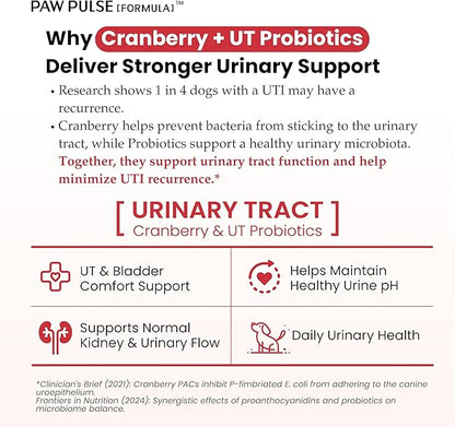 Pawpulse Formula Cranberry for Dogs, Urinary Tract Support for UTI Health, Bladder Stones, Incontinence, Urine Flow, Probiotics for Gut & Immune, 90 Chews