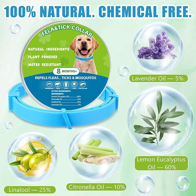 Natural Flea & Tick Prevention Dog Collars – 2-Pack Adjustable Waterproof Collars with Essential Oils (Lemon Eucalyptus, Citronella, Lavender, Linalool),Blue, Safe for All Breeds