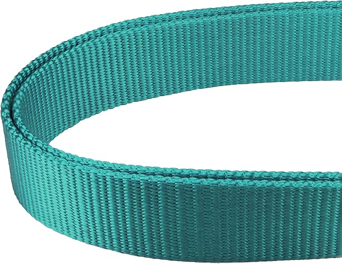 Mikivery Martingale Dog Collar Nylon Adjustable and Safety Training Colourful Comfortable Metal Buckle Pet Collars for Small Medium and Large Dogs(Teal,M)