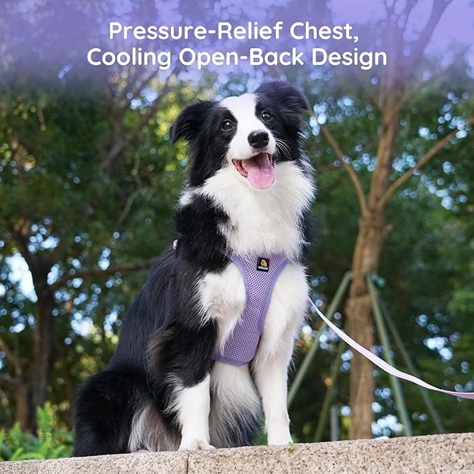 BELLA & PAL Adjustable Step-in Dog Harness, Puppy No-Pull Vest with Leash Set for XS/Small & Medium Dog, Breathable All-Weather Mesh, Reflective Strip, Secure Hook & Loop
