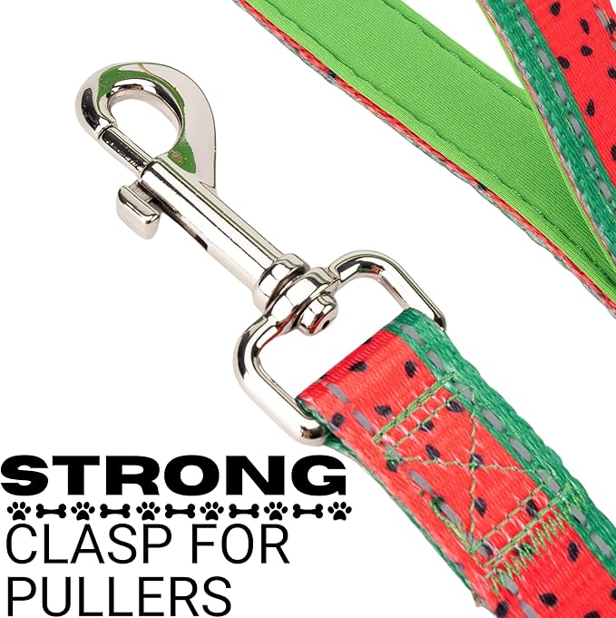EcoBark Dog Leash - Soft & Reflective Comfort Leash with Padded Handle - Safe, Strong, & Durable for Small, Medium or Large Dogs (Watermelon)