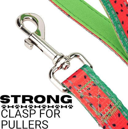 EcoBark Dog Leash - Soft & Reflective Comfort Leash with Padded Handle - Safe, Strong, & Durable for Small, Medium or Large Dogs (Watermelon)