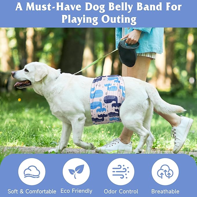 5 Pack Dog Diapers Male Reusable, Premium Belly Bands for Dogs, High Absorbing Male Dog Pee Wraps for Doggie in Incontinence or Excitable Urination,Squirrel M