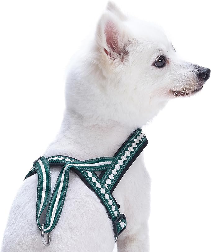 Blueberry Pet 6 Colors Soft & Comfy Jacquard Padded Dog Harness, Chest Girth 25.5" - 31.5", Teal Blue, M/L, Reflective Adjustable Harnesses for Dogs