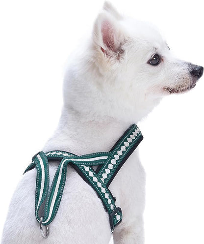 Blueberry Pet 6 Colors Soft & Comfy Jacquard Padded Dog Harness, Chest Girth 21.5" - 27.5", Teal Blue, S/M, Reflective Adjustable Harnesses for Dogs