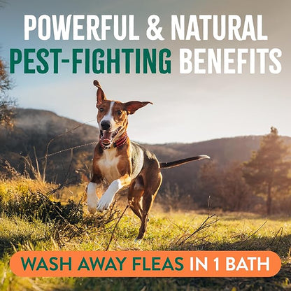 TropiClean Max Strength Flea and Tick Shampoo Treatment for Dogs, Powerful & Natural Defense, Prevention for Large & Small Dogs, Made in USA, 1GAL