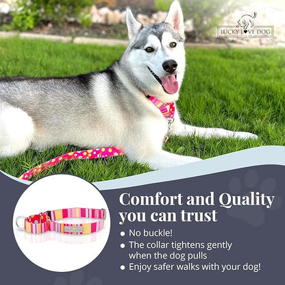 Lucky Love Dog Martingale Dog Collar - Adjustable, No-Slip, Durable, & Soft Webbing Collar for Male and Female Dogs Ideal for Training & Walking - Molly, Medium