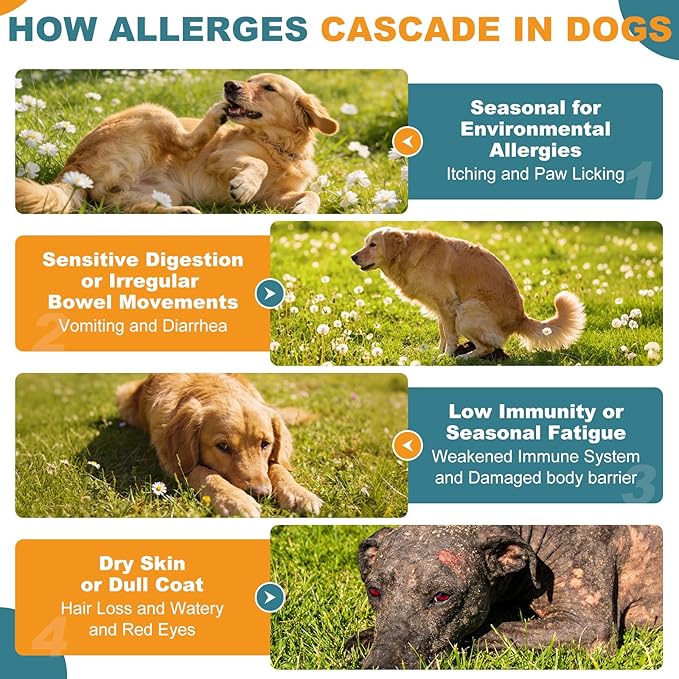 Dog Allergy Chews, Allergy Immune Bites for Dogs, Itching Skin Relief, Itchy Ears, Anti Itch, Paw Licking Treatment, Seasonal Allergies, Dog Probiotics for Digestive Health & Gut Health, 180 Chews