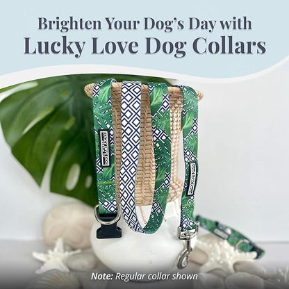 Lucky Love Dog Martingale Collar, Premium No Slip Martingale Collar for Medium Boy Dogs, Great for Whippets, Greyhounds, and More (Medium, Blue Laguna)