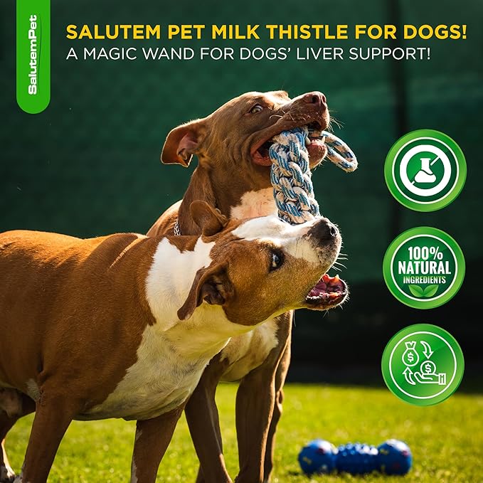 Milk Thistle for Dogs | Dog Liver Supplement for All Ages and Breeds | Here is Only Herbal Composition | + Attractive and Super Yummy Bacon Flavor | 2 Oz