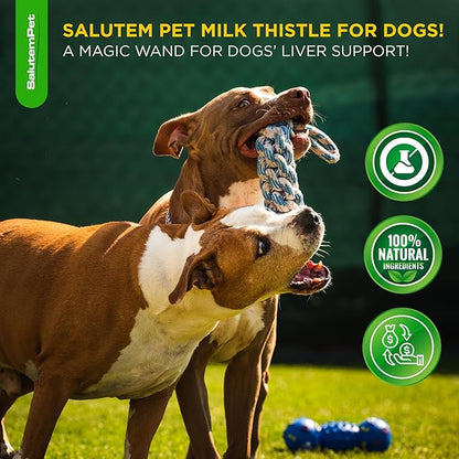 Milk Thistle for Dogs | Dog Liver Supplement for All Ages and Breeds | Here is Only Herbal Composition | + Attractive and Super Yummy Bacon Flavor | 2 Oz