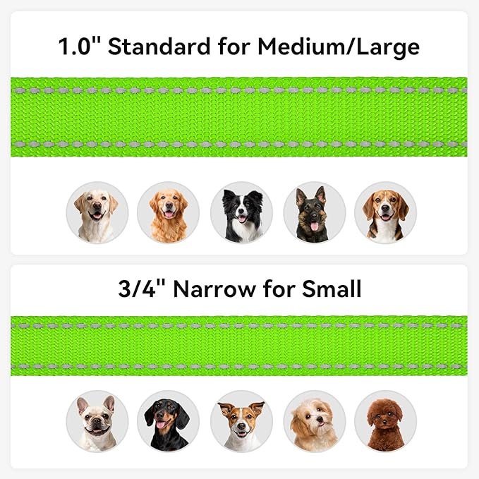 Joytale Dog Leash, 5 FT Double-Sided Reflective, Padded Handle Nylon Heavy Duty Leashes for Small Dogs Walking, Green