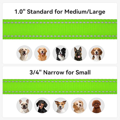 Joytale Dog Leash, 5 FT Double-Sided Reflective, Padded Handle Nylon Heavy Duty Leashes for Small Dogs Walking, Green