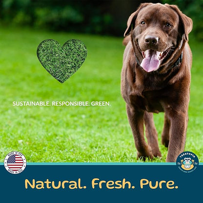 TREATOPIA Beef Liver Nuggies Dog Treats, 16 Ounce Bag - All-Natural, Sustainable, Healthy, High Protein, Hand-Trimmed, Slow-Roasted, Made in The USA, Nutritious, No Additives, No Fillers