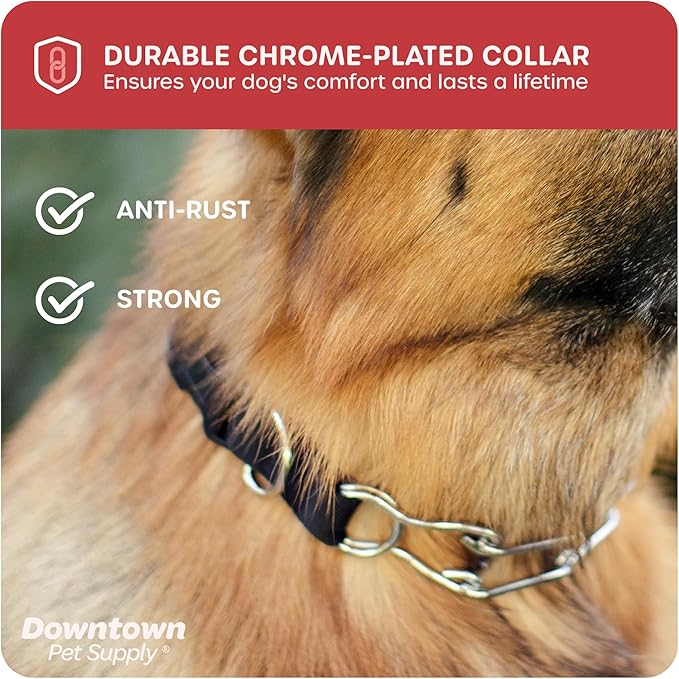 Downtown Pet Supply Chrome Plated/Nylon Prong Collar for Dogs, Small - Adjustable, No-Choke and No Pull Dog Collar with Removable Links - Pinch Collar for Dogs Under 20 lbs and 14" Neck Width