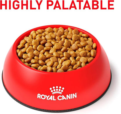 Royal Canin Veterinary Diet Canine Urinary SO Adult Dry Dog Food, 6.6 lb Bag