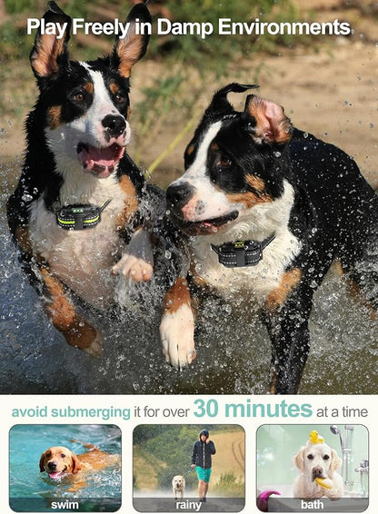 F-color Dog Shock Collar with Remote Control - 2600FT Dog Training Collar 3 Pack with Beep Vibration Shock and Light, Waterproof E Collar for Dogs Training for Large Medium Breeds