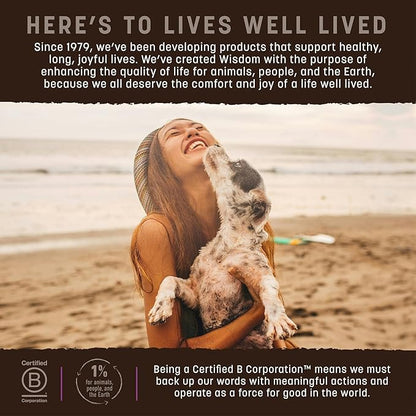 Earth Animal Wisdom Air Dried Jerky - Turkey Recipe Premium Natural Jerky Strips Dog Treats - 4 oz Bag