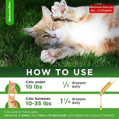 Set of Liquid Dog Antibiotics and Cat Antibiotic + Pendant – Daily Help with UTI, Cough, Runny Nose, Allergies, Wheezing – Versatile Care for Breathing System with Chicken Flavor – 2 oz x 2