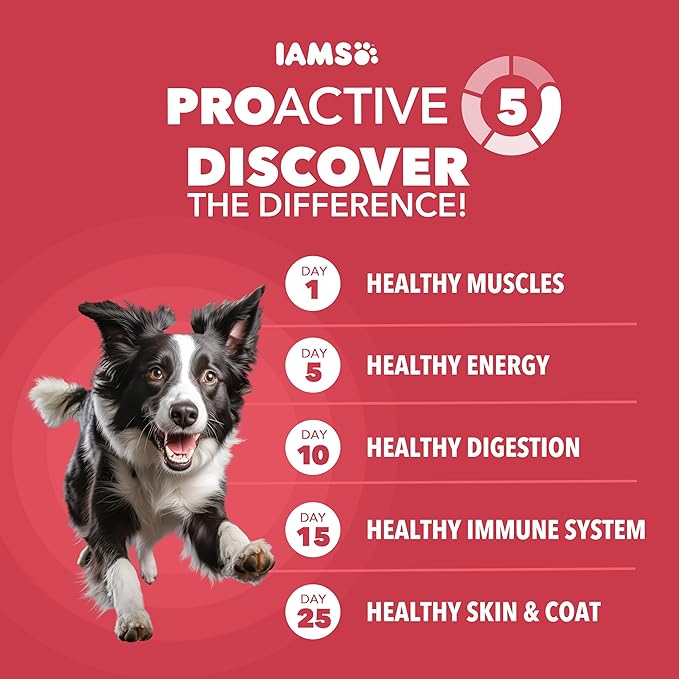 IAMS Dry Dog Food Lamb and Rice Proactive Health Food for Dogs, 15.0 lb