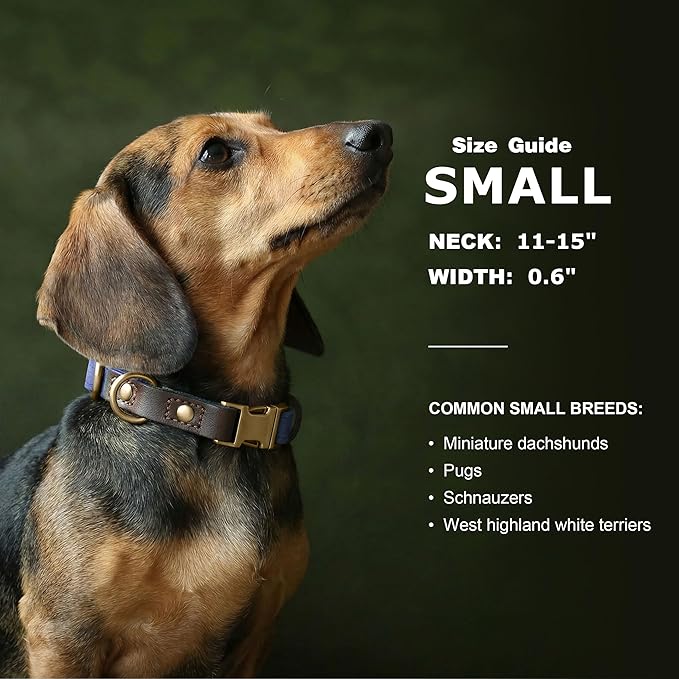 Didog Soft PU Leather Dog Collars for Small Dogs,Classic Adjustable Dog Collars with Quick Release Metal Buckle,Easy Clean and Comfortable with Nylon Lining,Blue,S Neck 11-15"