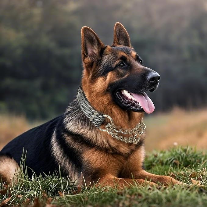 Martingale Dog Collars, Reflective Nylon Collar with Stainless Steel Chain, Adjustable Walking Training Dog Collars with Quick Release Buckle, Suitable for Small Medium Large Dogs(Gray,L)