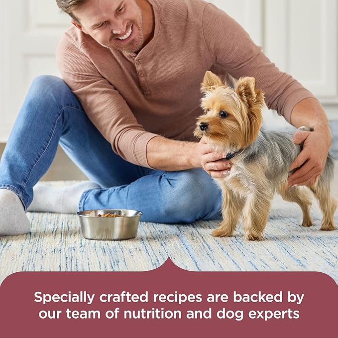 Nutrish Rachael Ray Dry Dog Food Small Breed Real Chicken & Veggies Recipe, 5 lb. Bag