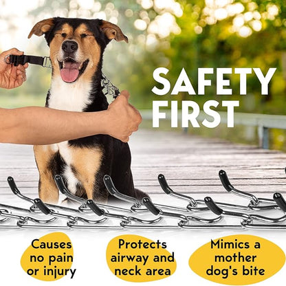 PetJett Prong Collar for Dogs - Choke Collar for Dogs, Pinch Collar for Dog, Adjustable Training Collar & Walking Tool for Small, Medium, or Large Breed - No Pull Stainless Steel Metal Choker Chain