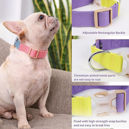 No Pull Dog Harness and Leash Set, Step in Dog Halter Harness with Poop Bag Holder, Adjustable Lightweight Cotton Straps Suitable for Small Medium Large Dogs Outdoor Walking Running Hiking
