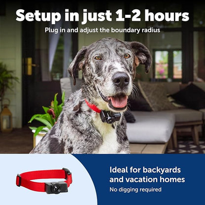 PetSafe 2-Dog Wireless Pet Containment System - Original Wireless Electric Fence for Dogs - Covers Up to 1/2 Acre - for Pets 5lb+