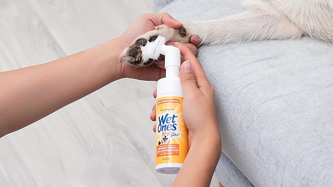 Wet Ones for Pets Antibacterial Dog Paw Cleaner with Built-in Brush, Foaming No-Rinse Formula for Cleaning Dirty Paws After Walks, Gentle Everyday Paw Wash for Dogs, 5 Oz - 6 Pack